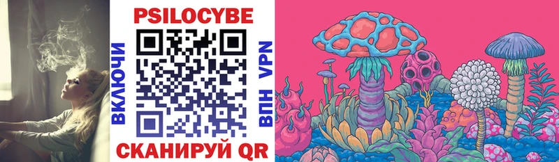 мега как зайти  Любим  Псилоцибиновые грибы Psilocybine cubensis 